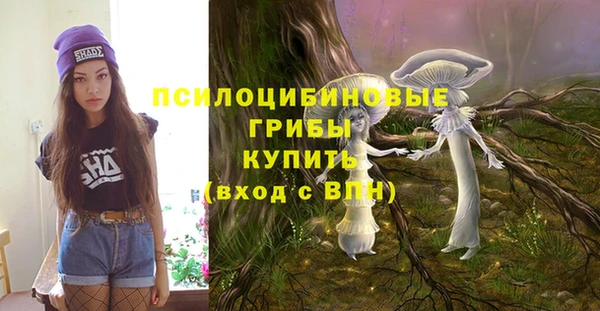 МДПВ Аркадак
